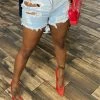 Head Over Heels: All In One Boutique Chanice Denim Shorts Apparel